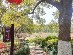 -白马涧龙池景区