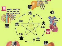-裕和堂中医推拿艾灸(太古汇臻品店)
