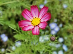 -上海滨江森林公园