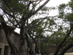 -胡里山炮台