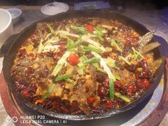 -老板恋上鱼(恒隆广场店)