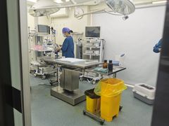 -联合动物医院(光谷诊疗中心)