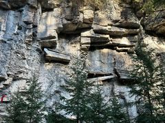 -芦芽山旅游度假区
