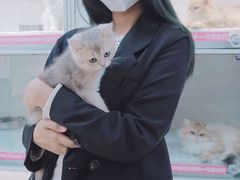 -lincat·猫舍(广州店)