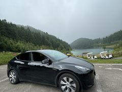 -武陵山森林公园