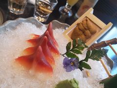 北极贝-红叶日本料理(三八广场店)