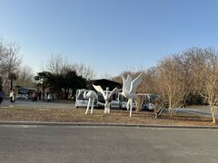 -盐城丹顶鹤湿地生态旅游区