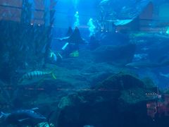 -迪拜水族馆及水下动物园