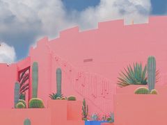 -漳州滨海火山岛自然生态风景区