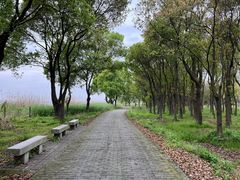 -莲花岛景区