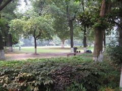 -华东政法大学(松江校区)
