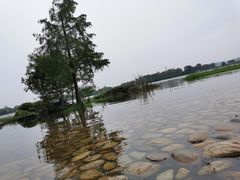 -东湖落雁景区