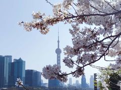 -北外滩滨江绿地