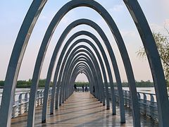 -大兴滨河森林公园