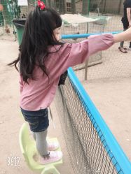 -上美四季动物农场