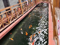 -侠成水上农庄(工业大道店)