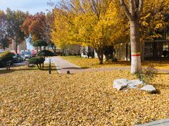 -西部长青自然儿童乐园