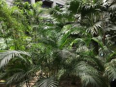 -黑龙江中医药大学附属第一医院