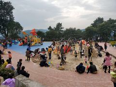 -铁山坪森林公园