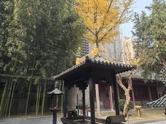 -罔极寺