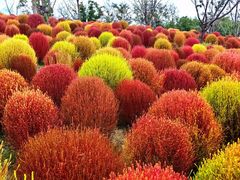 -花开海上生态园