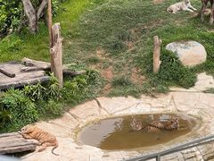 -广州长隆野生动物世界