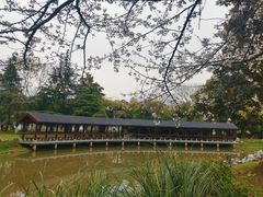 -堤角公园