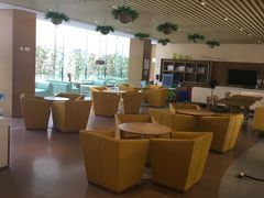 -北京临空智选假日酒店
