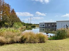 -上海长兴岛郊野公园