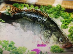 清蒸桂鱼-翠晶水上餐厅(泰晤士小镇店)