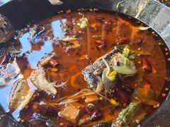 -金三可市井水煮鱼(金碧园店)