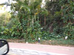 -南国桃园旅游度假区