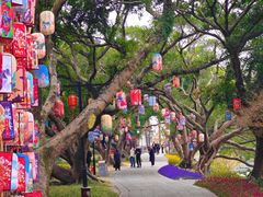 -江心屿景区
