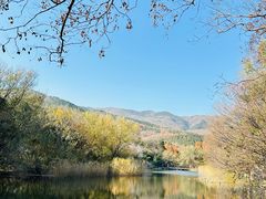 -南长河公园