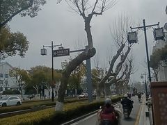 -苏州图书馆(人民路总馆)