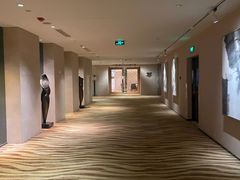 -北京朝阳悠唐皇冠假日酒店