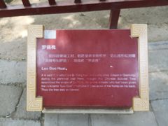 -北京国子监胡同