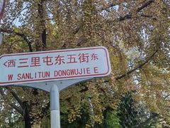 -三里屯东五街银杏大道