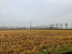 -嘉北郊野公园