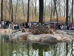 -北京野生动物园
