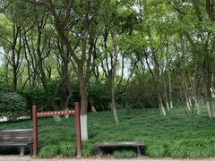 -瀛洲公园
