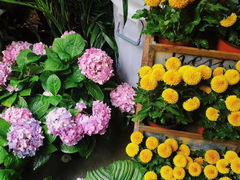 -花二家·生活馆(六运小区店)