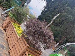 -云南野生动物园