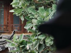 -王老师咖啡烘焙室