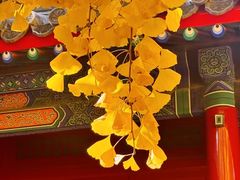 -承恩寺