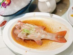 -新海利海鲜城·41年珠海老字号(夏湾店)