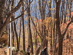 -五女峰国家森林公园