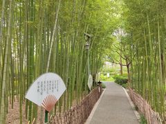 -陈家山荷花公园