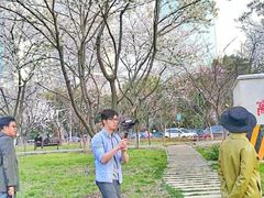 -西北湖绿化广场