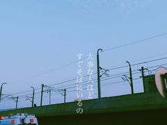-海堤纪念公园